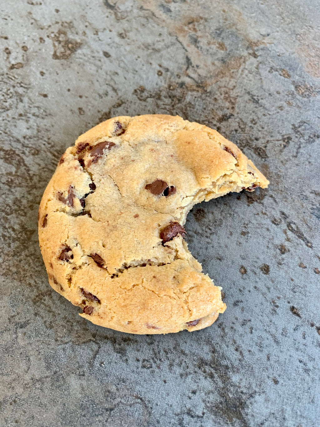 Coconut Macadamia Gluten Free Cookies
