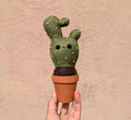 Cute Face Cactus Felt Plant
