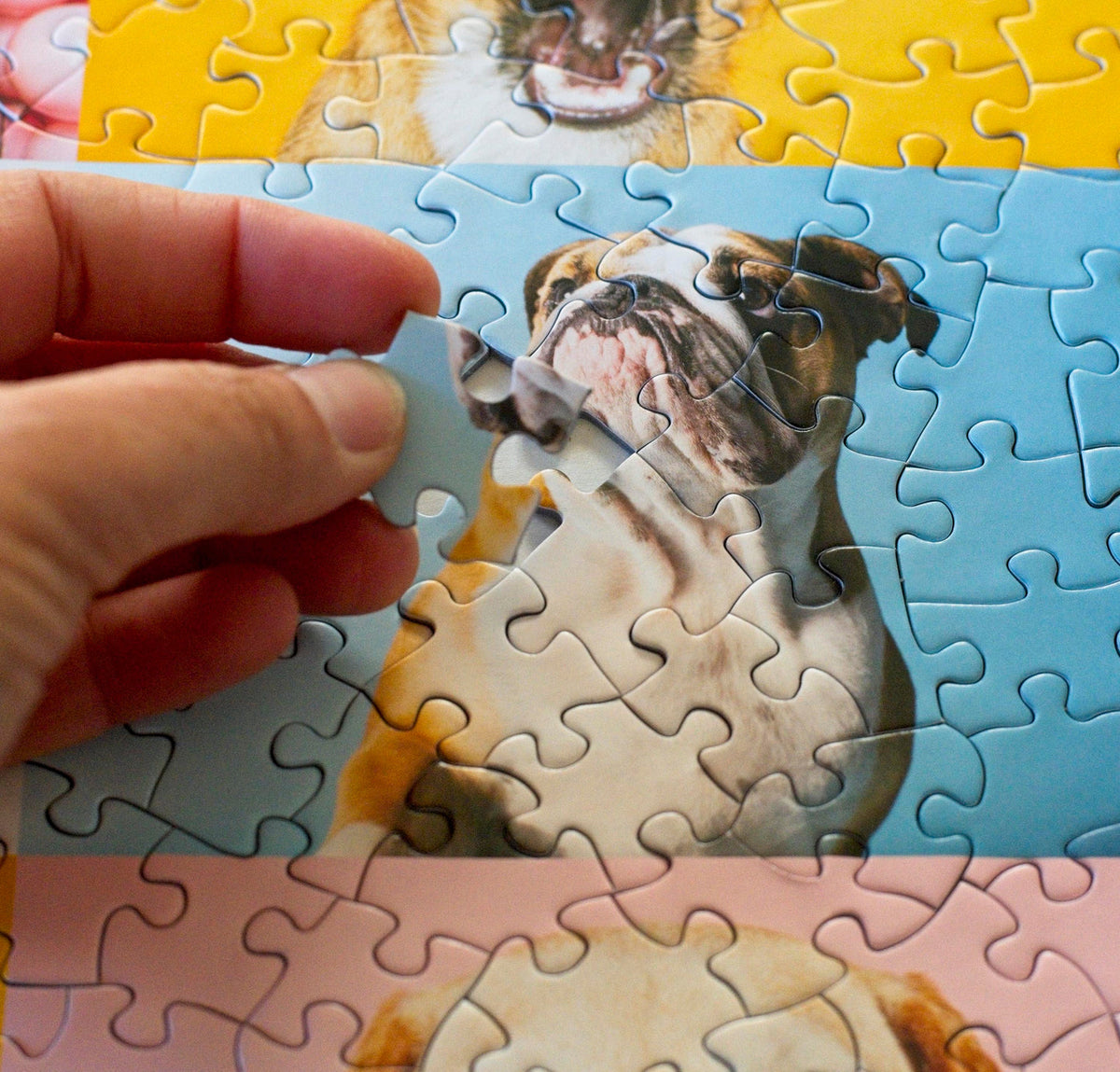 Dogs Puzzle – 500-Piece Portraits by Ellen Shershow