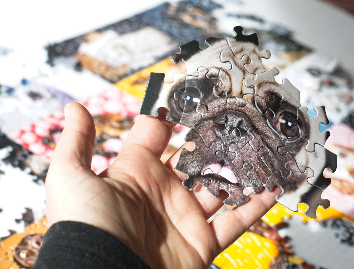 Dogs Puzzle – 500-Piece Portraits by Ellen Shershow