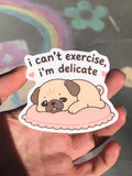 Can't Excercise, Delicate Sticker