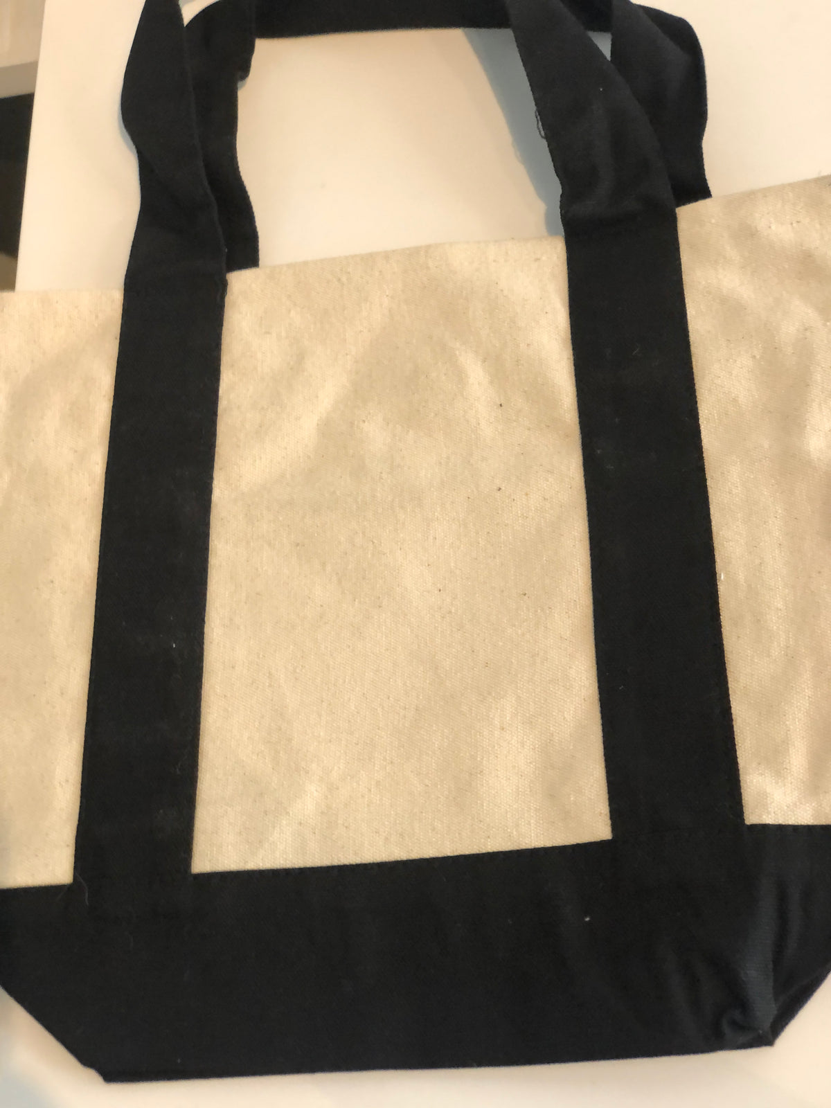 The Bay Mini Tote – Pride
