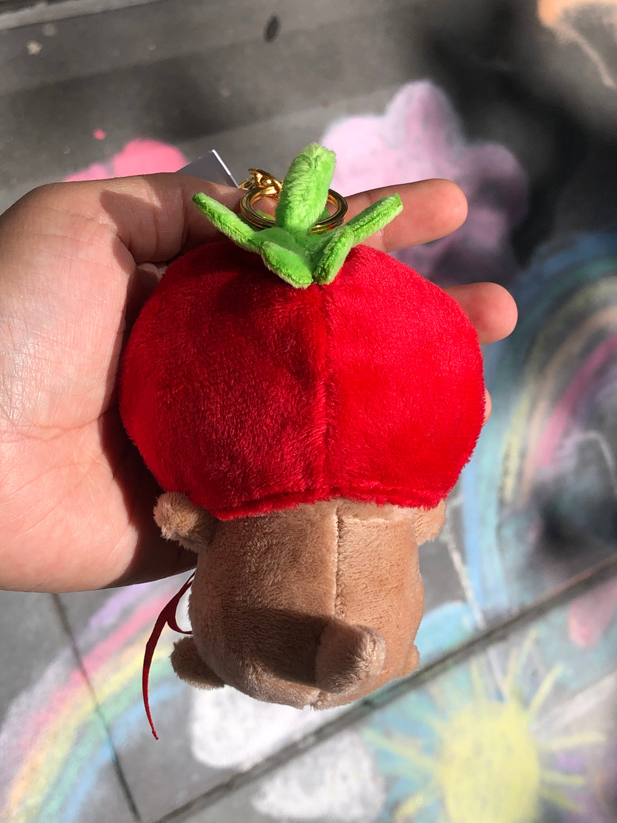 Plushie Keychains