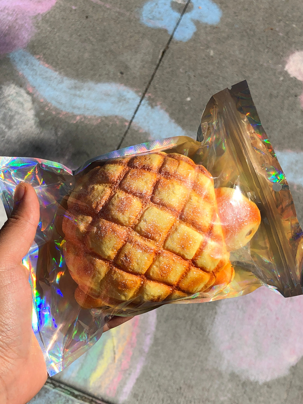 Squishies Turtle Bread
