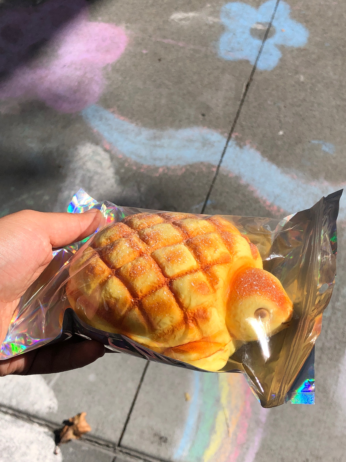 Squishies Turtle Bread