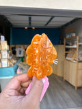 Taiyaki Hair Claw