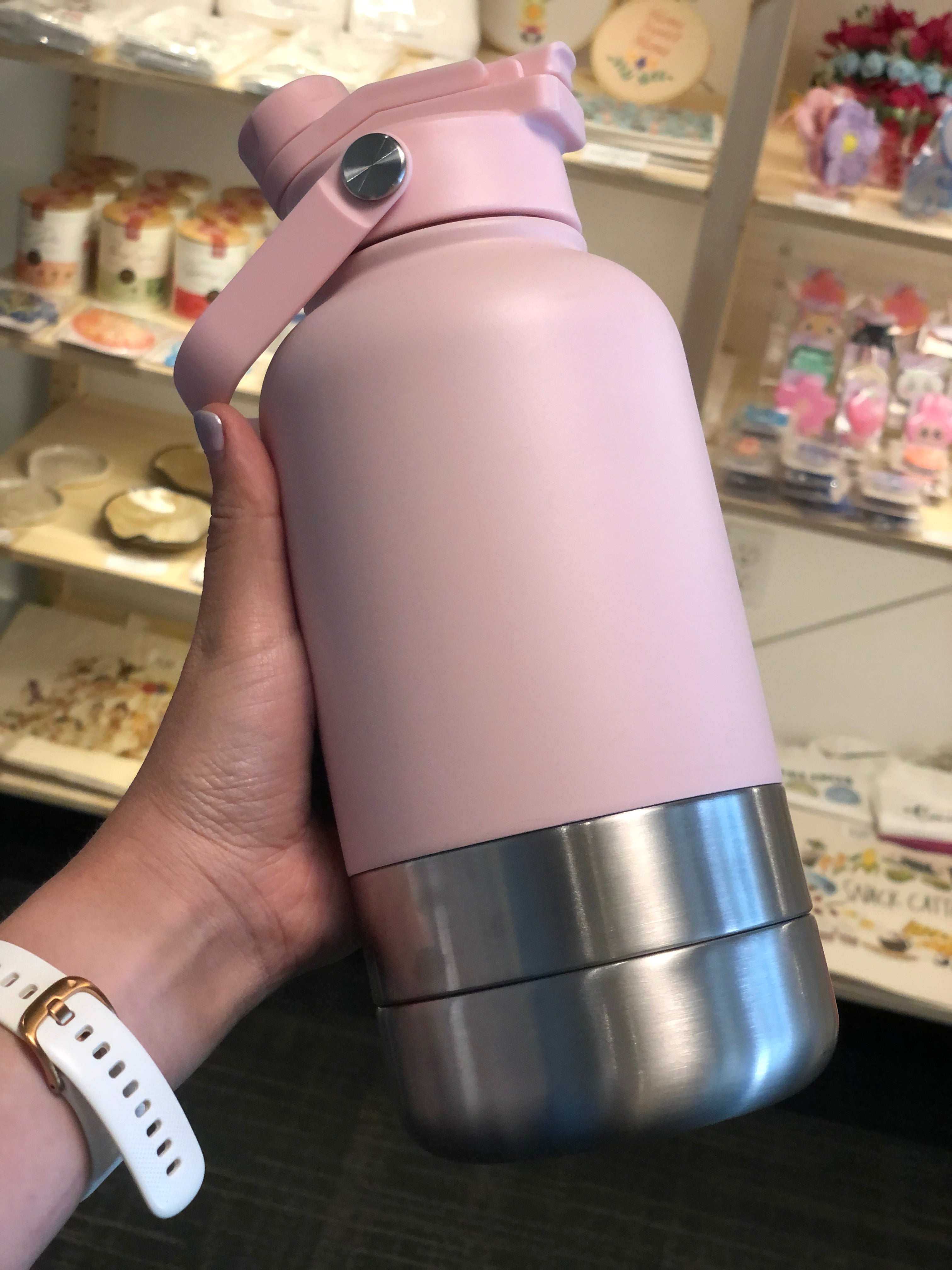 Stainless Steel Travel Bottles