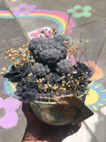 Candle Bouquets (Black)