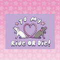 Ride or Die Card