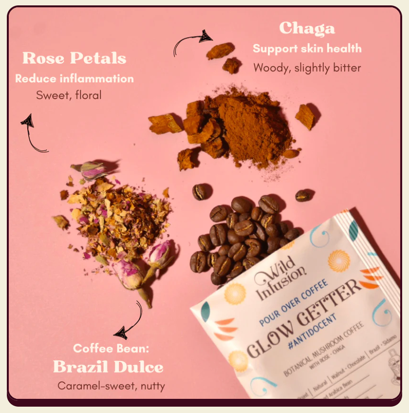Wild Infusion Botanical Mushroom Coffee – All-In Variety Pack (10 Packs)