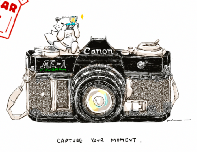 Capture Your Moment Art Prints