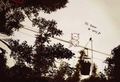 It's Gonna Be Okay Postcard