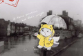 It Rains Sometimes But That's Okay Postcards
