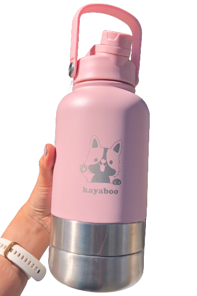 Stainless Steel Travel Bottles