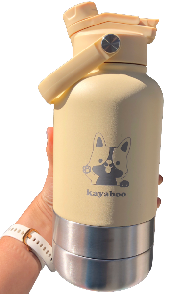 Stainless Steel Travel Bottles