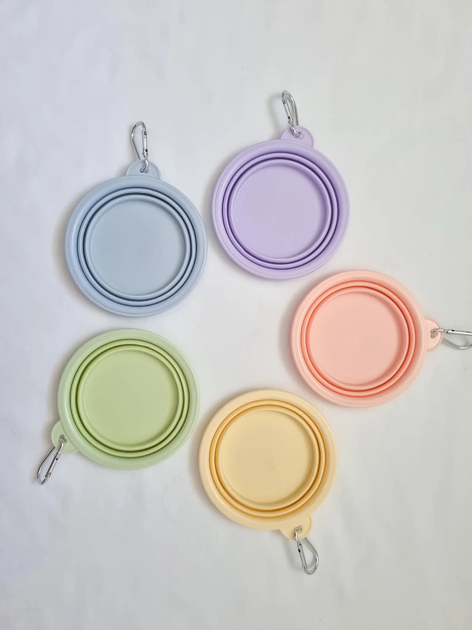 Collapsible Dog Bowls