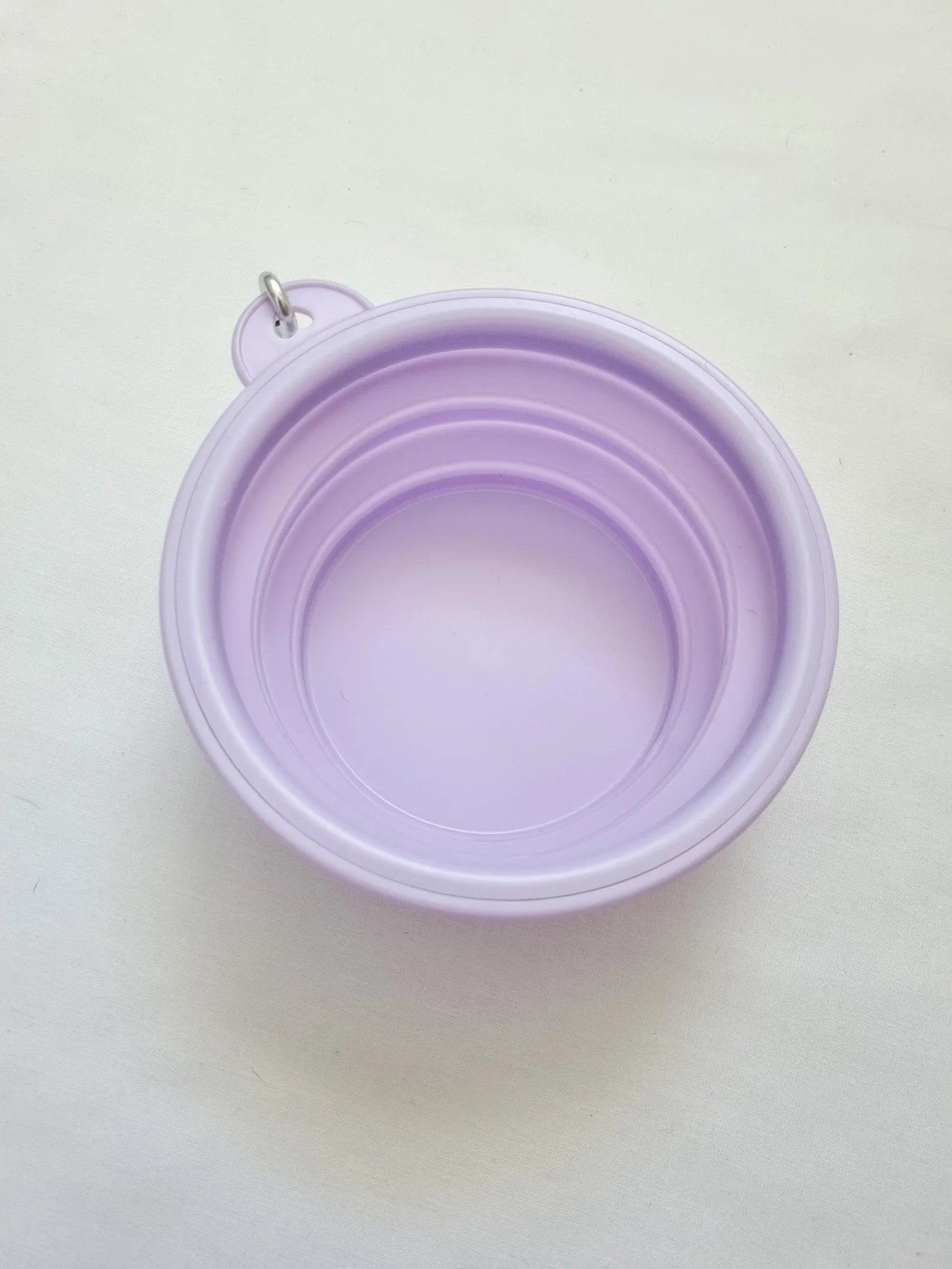 Collapsible Dog Bowls