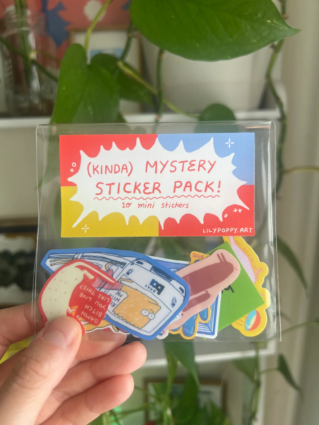 Mystery mini sticker pack
