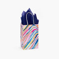 Painted Desert Paper Gift Bag