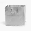 Silver Gloss Gift Bag