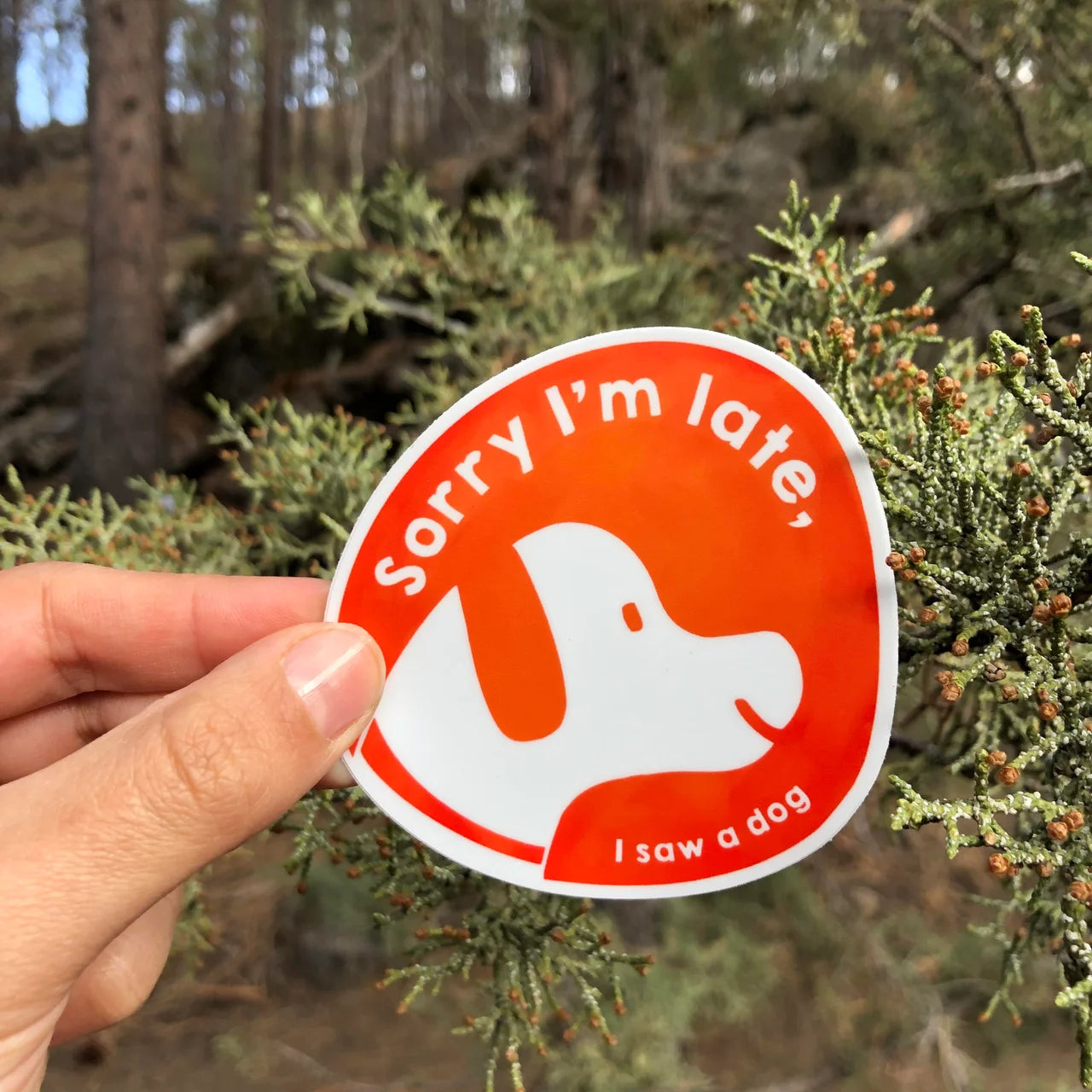 Sorry I am late, I saw a dog Sticker, Orange